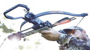 Read more about the article Crossbow Exercise Equipment